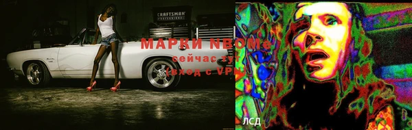 сатива Богданович