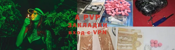 спиды Богородицк