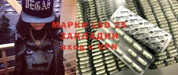 ПСИЛОЦИБИНОВЫЕ ГРИБЫ Бородино