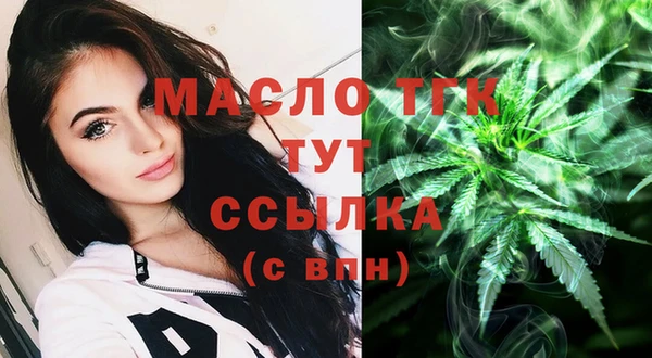 спиды Богородицк