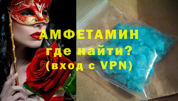 сатива Новозыбков